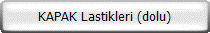 KAPAK Lastikleri (dolu)